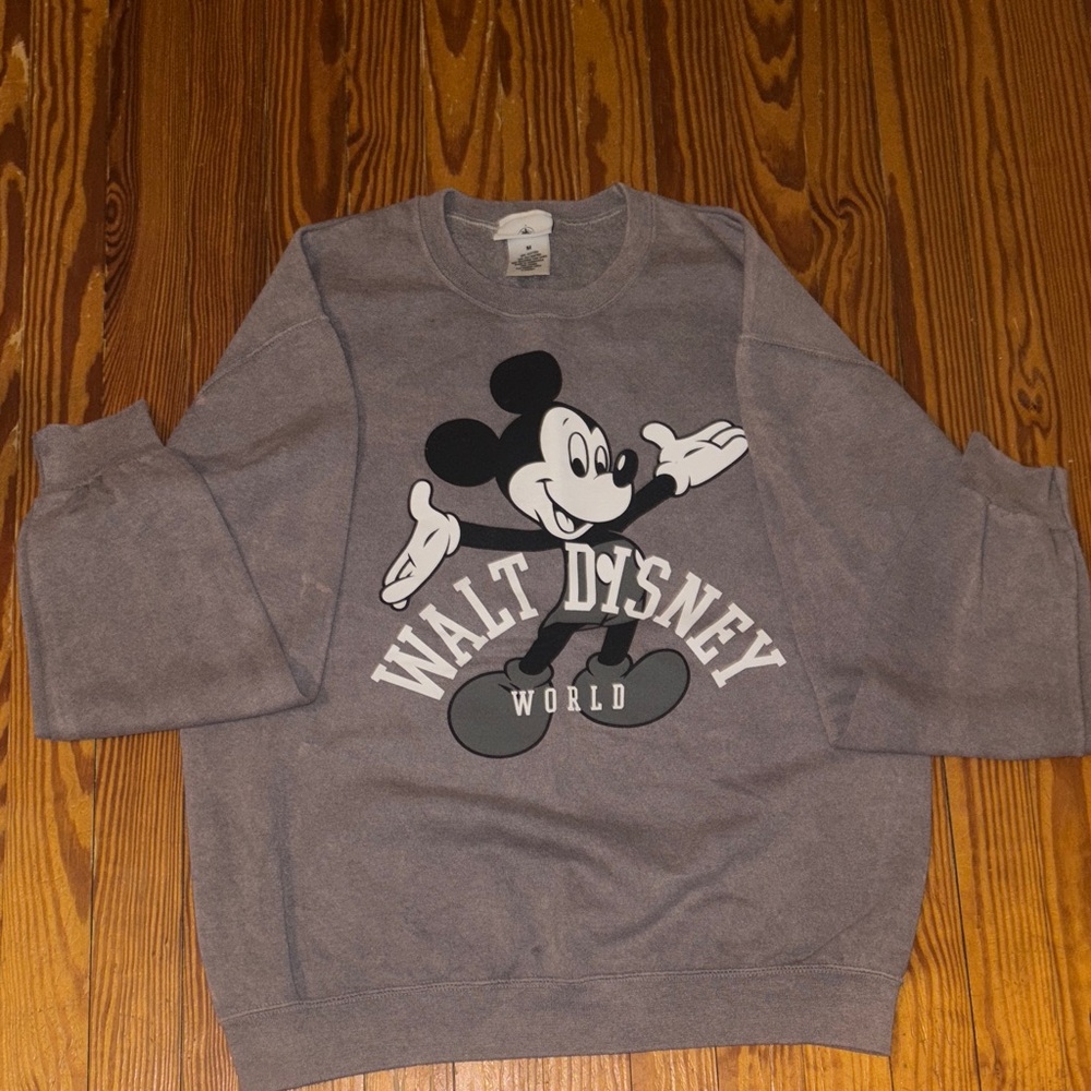 Disney World bleached sweater